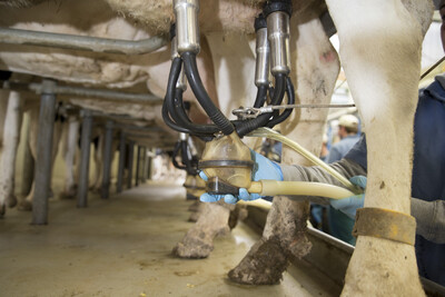 Ausbildung Herdenmanager Echem - © Fotograf Andreas Tamme /media/media/D2301349-0EAA-FB45-D00553484C320F28.jpg