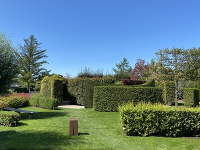 Verschiedene Heckenpflanzen und Schnittformen - © Anja Berger / Die Gartenschule Hecken als Gestaltungselement in Gärten