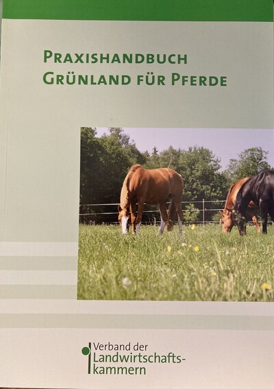 Praxishandbuch Grünland für Pferde