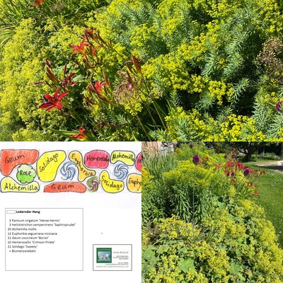 Beetplanung mit System - © Anja Berger / Die Gartenschule Beetplanung mit System