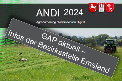 Deckblatt - GAP 2024