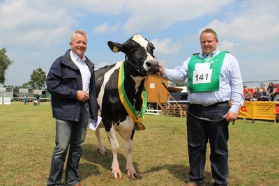 Holstein-Kuh Loretta in Tarmstedt