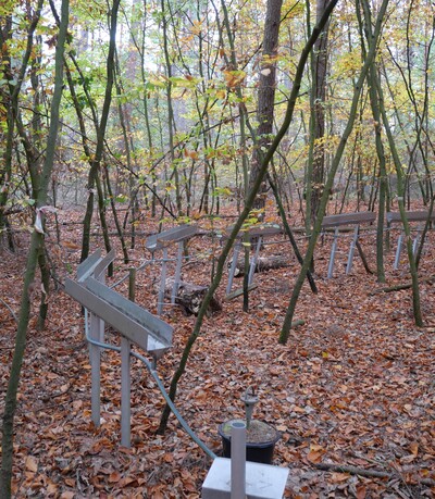 Messstation der Landwirtschaftskammer in einem Wald im Kreis Oldenburg: Nach den zurückliegenden Dürrejahren haben Niedersachsens Wälder beim Niederschlag einen hohen Nachholbedarf.