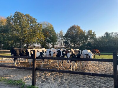 Verleihung des Staatsehrenpreises für besondere tierzüchterische Leistungen - © Neele Schröder Verleihung des Staatsehrenpreises für besondere tierzüchterische Leistungen