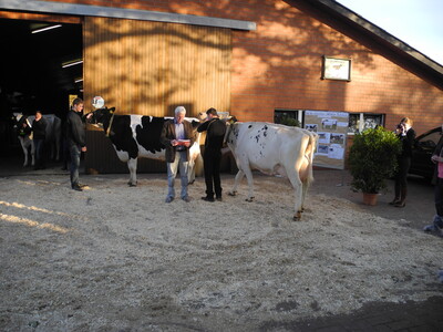Vorf&uuml;hrung der K&uuml;he und Kommentierung durch Josef Batke