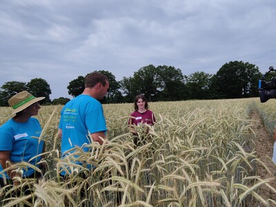 Bundessiegerin in der Kategorie Landwirtschaft I: Rebekka Niers aus Geeste (Kreis Emsland) bei der Getreidebonitur während des Finales des Berufswettbewerbs der deutschen Landjugend am 21.06.2023 im Landwirtschaftlichen Bildungszentrum in Echem.