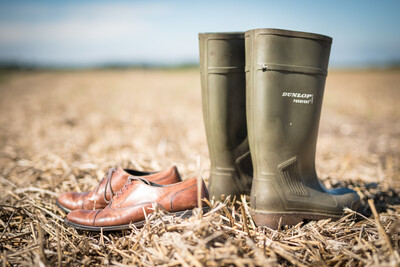 Sozio&ouml;konomische Beratung