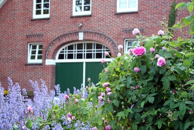 Hofgrün auf einem landw. Betrieb - © Gerda von Lienen Backsteingebäude mit grüner Tür, umgeben von blühenden rosa Rosen und lila Blumen im Vordergrund.
