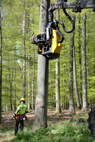 „MFK-Methode“ - © Carl Hesebeck „MFK-Methode“