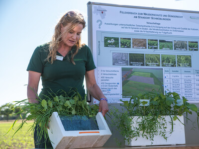 Andrea Knigge-Sievers präsentiert Ergebnisse aus dem Zwischenfruchtanbau in Schwüblingsen