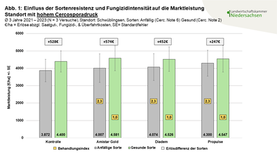 Abildung 1 Einfluss der Sortenresistenz und Fungizidintensit&auml;t auf die Marktleistung Standort mit hohem Cercosporadruck