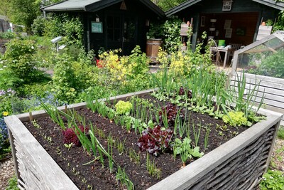 Das erste junge Gemüse im Hochbeet des Bäuerlichen Nutzgarten - © Nadja Krause /media/media/50EA6A49-F0B5-1A74-0764718EE86E3F4A.jpg