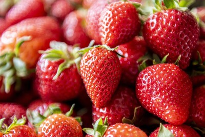 Erdbeeren
