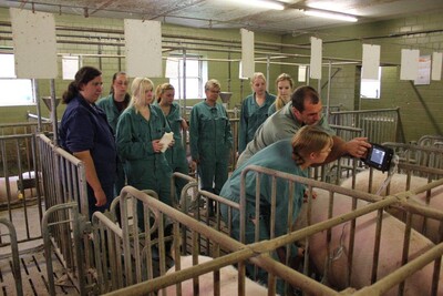 EBB Kurs Schwein