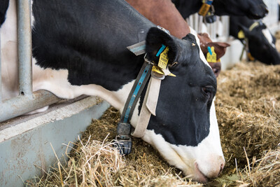 - © Wolfgang Ehrecke Dreharbeiten LBZ Echem 10.05.2017