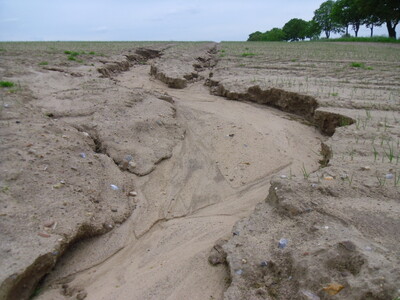 Bodenerosion - © Kai Clauswitz Bodenerosion