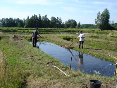 Fischwirt - © Elke Rather - © Elke Rather Fischwirt