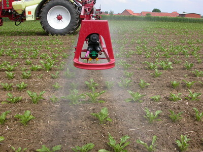 Ausbringung von Pflanzenschutzmittel auf einem Zuckerr&uuml;benfeld