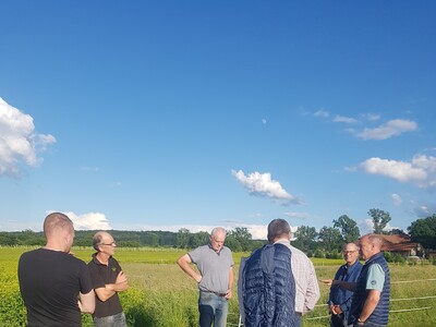 Feldrundgang mit den Mitgliedern des Arbeitskreises Landwirtschaft im Nebenerwerb