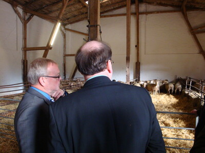 Fachgespräche im Schafstall - © Klaus Gerdes Fachgespräche im Schafstall