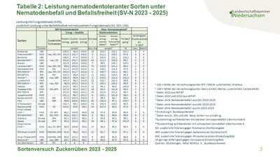 Ergebnis Sortenversuche Zuckerr&uuml;ben 2023 bis 2025
