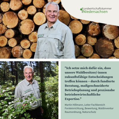 Martin Hillmann - Leiter Fachbereich Forsteinrichtung, Bewertung, Waldinventur Raumordnung, Naturschutz