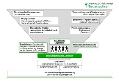 Grafiken zu MuD Projekten Tier 2014