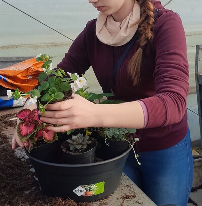 Zukunftstag 2025 im Gartenbau - © Christine Hahne Zukunftstag 2025 im Gartenbau