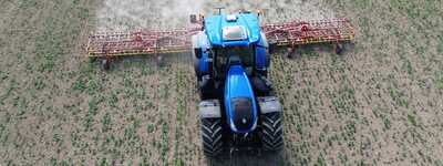 Striegeln von Öko-Ackerbohnen