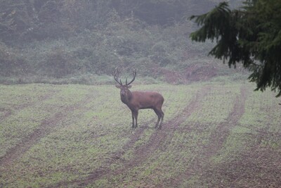 Ausbildung Revierjäger - © Jens Hepper Ausbildung Revierjäger