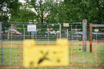 2. Echemer Zauntag am 04.06.2026.