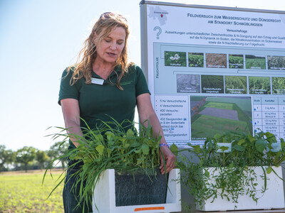 Andrea Knigge-Sievers pr&auml;sentiert Ergebnisse aus dem Zwischenfruchtanbau in Schw&uuml;blingsen
