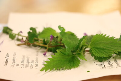 essbare Kräuter - © Christine Strodthoff-Schneider /media/media/51EBDB38-9109-6E26-EAA08E8D790B0A31.JPG