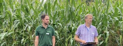 Vier M&auml;nner stehen auf einem Feld vor hohen Maispflanzen und unterhalten sich.