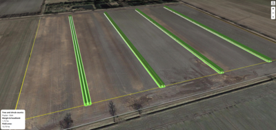 Planungsskizze Pappel-Agroforst