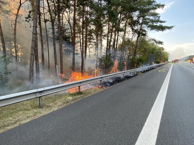 Waldbrand an einer Autobahn - © Wilfried v. Bostel Waldbrand an einer Autobahn