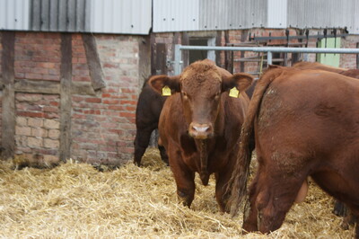 Staatsehrenpreis Albrecht, Golmbach 2022