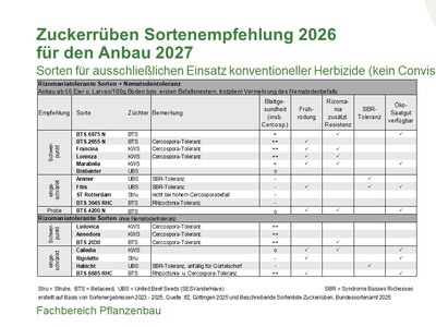 Zuckerrüben-Sortenempfehlung 2027, Sorten für herkömmliche Herbizide - © Annette Hoffmann Zuckerrüben-Sortenempfehlung 2027, Sorten für herkömmliche Herbizide