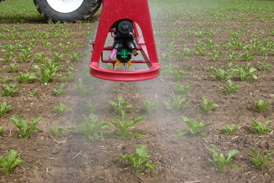 Ausbringung von Pflanzenschutzmittel auf einem Zuckerr&uuml;benfeld