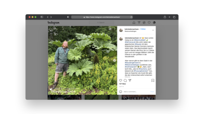 Nachwuchswerbung auf Instagram