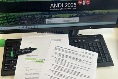 Bewilligungsbescheid 2025