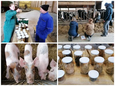 Zwischenprüfung Landwirt/in - Tier - © Anja Lühmann /media/media/68A4D02D-02EC-5BFA-AB27C58DFE208A8E.jpg
