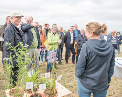 Tag zwei der Feldtage der Landwirtschaftskammer Niedersachsen am 02.06.2023 auf der Versuchsstation Poppenburg in Nordstemmen (Kreis Hildesheim).