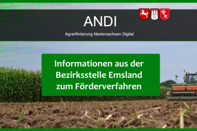 Deckblatt - Infos Förderverfahren - © Daniela Schulte Deckblatt - Infos Förderverfahren