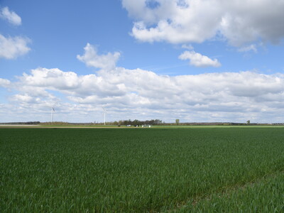 Auf dieser Versuchsfläche in Schwüblingsen wollen die LWK und das LBEG in den kommenden zwölf Jahren wichtige Erkenntnisse für die Bereiche des Düngerechts und des Wasserschutzes gewinnen.