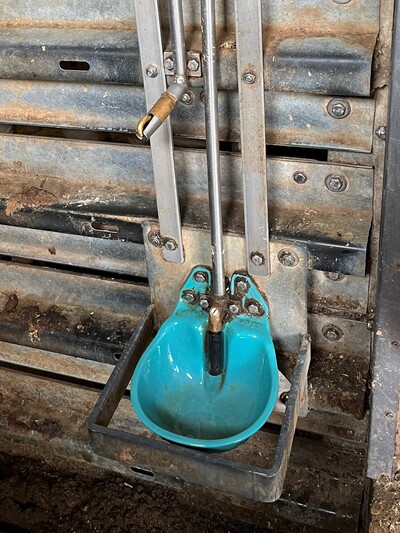 Schalentränke mit abgerundetem Abweisbügel, Zapfentränke und Flacheisen zum Schutz der Wasserleitungen