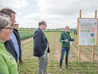 Tag zwei der Feldtage der Landwirtschaftskammer Niedersachsen am 02.06.2023 auf der Versuchsstation Poppenburg in Nordstemmen (Kreis Hildesheim).