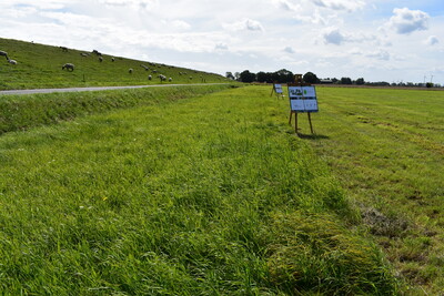 Schnittnutzung - © Gerd Lange Schnittnutzung