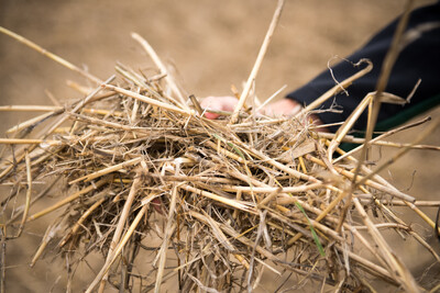 Wassersparend, bodenschonend, wirtschaftlich: Maschinenvorf&uuml;hrung zur ultraflachen Bodenbearbeitung mit mehr als 40 Ger&auml;ten in Sehnde (Region Hannover).