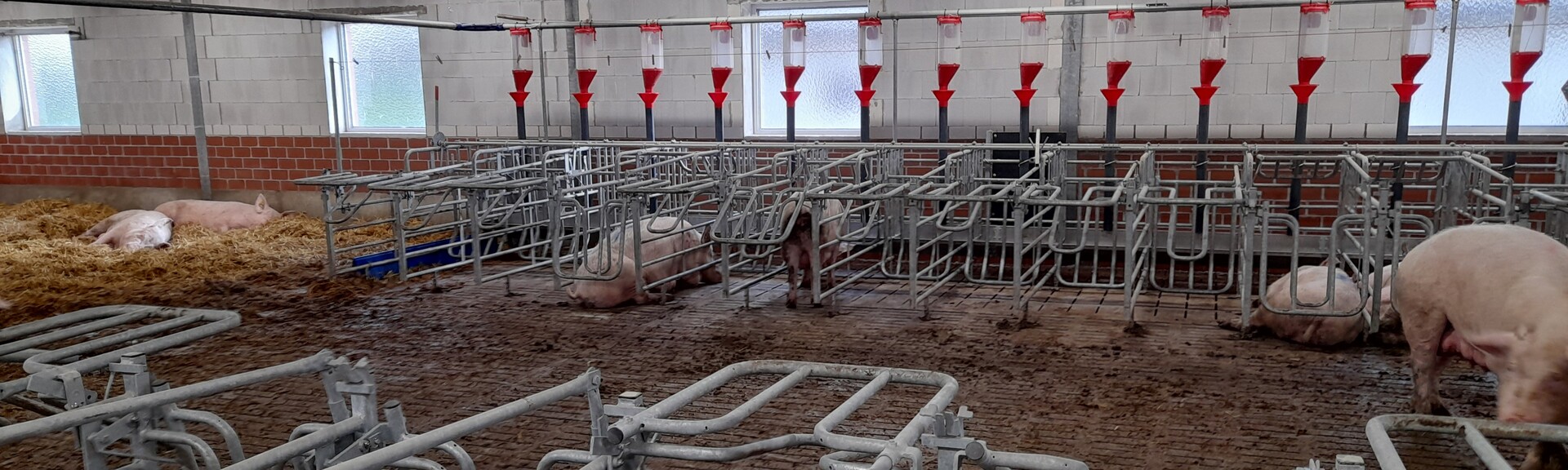 Eingriffsregelung Ausgleich und Ersatz beim Bauen im Außenbereich Landwirtschaftskammer